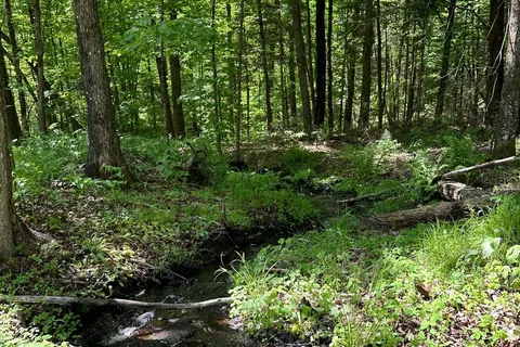 0 Donroy Rd, Highlands East, ON K0M 1R0