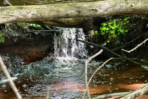 0 Donroy Rd, Highlands East, ON K0M 1R0