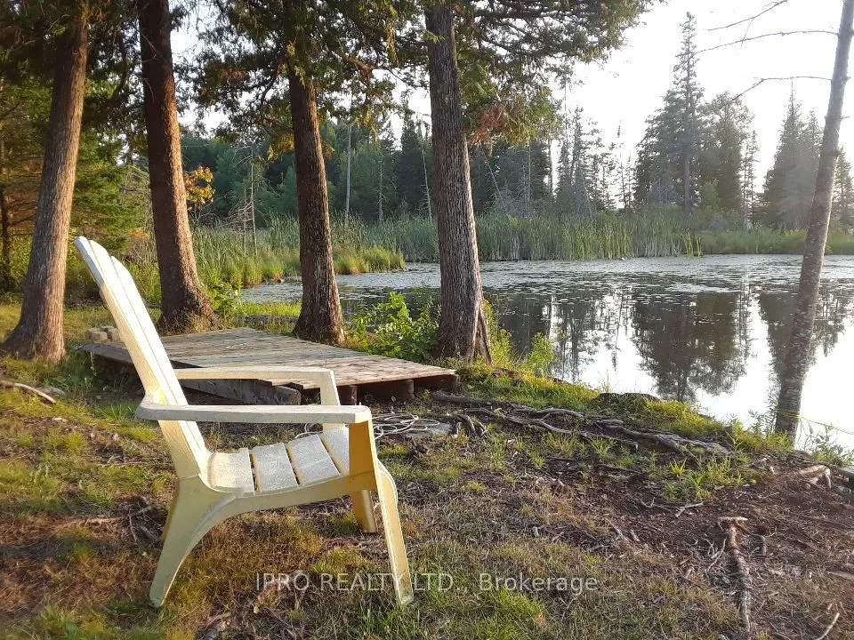 113 Julian Lake Rd, North Kawartha, ON K0L 3E0