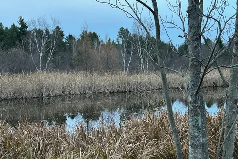 11983 Highway 41, Addington Highlands, ON K0H 1Z0