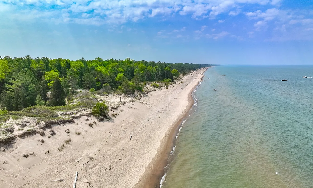 9919 Pinery Lane, Lambton Shores, ON N0M 1T0
