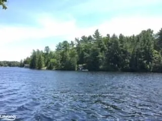 12 ISLAND 270 SIX MILE LAKE N/A, ON L0K 1S0