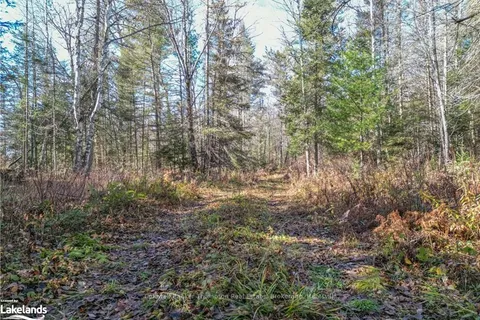 0 MILLER RD, Magnetawan, ON P0A 1Z0