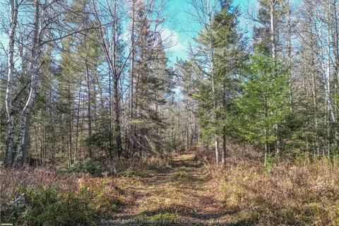 0 MILLER RD, Magnetawan, ON P0A 1Z0