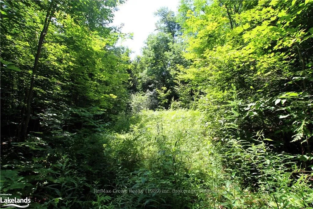 0A 20TH SIDE RD N/A, ON P0H 1Y0