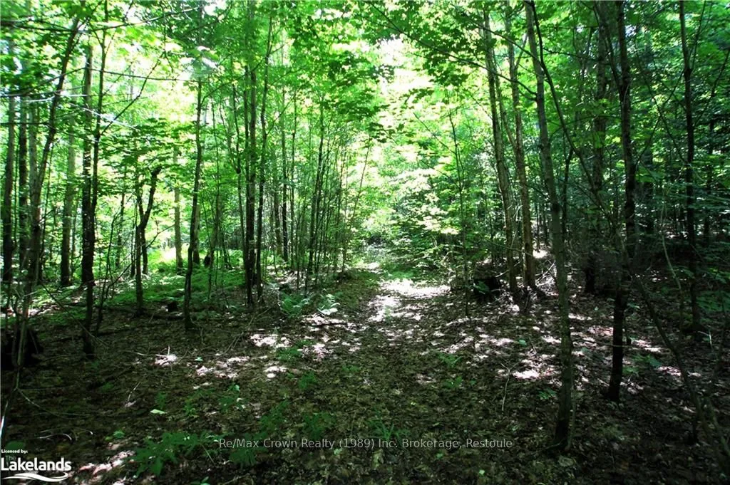 0A 20TH SIDE RD N/A, ON P0H 1Y0