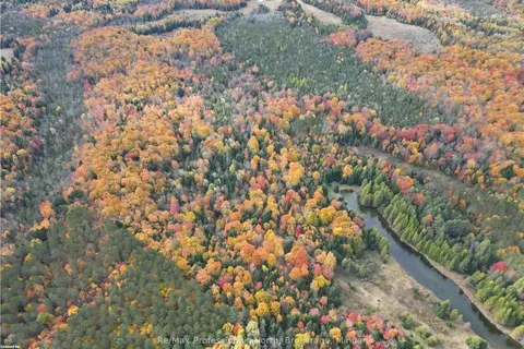 0 COUNTY ROAD 121 Rd, Kawartha Lakes, ON K0M 2A0