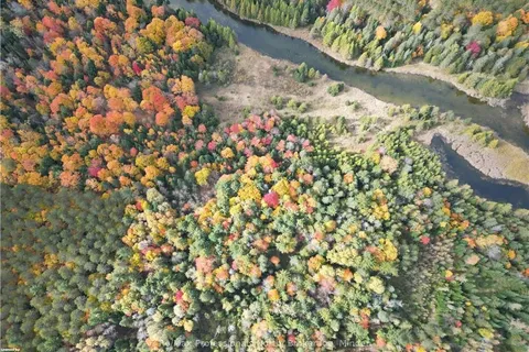 0 COUNTY ROAD 121 Rd, Kawartha Lakes, ON K0M 2A0