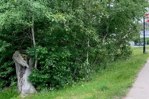 0 SOUTH SPARKS St, Magnetawan, ON P0A 1P0