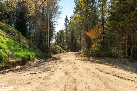 LOT 2 PICKEREL LAKE Rd, Armour, ON P0A 1C0