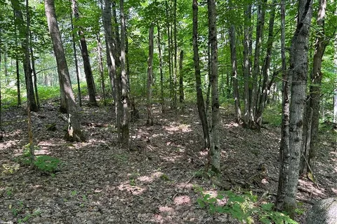 LOT 22 FRANK St, Magnetawan, ON P0A 1P0