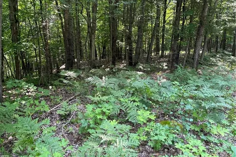 LOT 22 FRANK St, Magnetawan, ON P0A 1P0