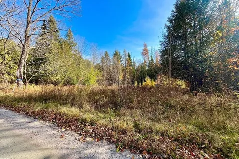 1164 RAVINE Rd, Minden Hills, ON K0M 2K0