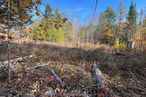1164 RAVINE Rd, Minden Hills, ON K0M 2K0
