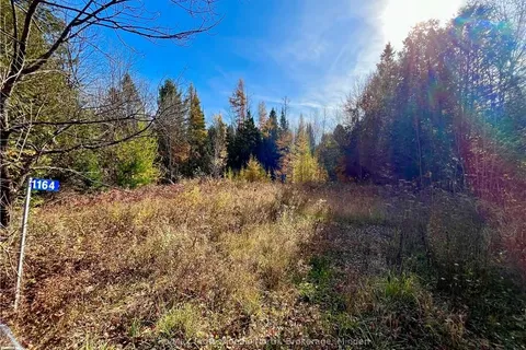 1164 RAVINE Rd, Minden Hills, ON K0M 2K0