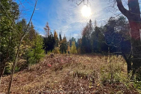 1164 RAVINE Rd, Minden Hills, ON K0M 2K0