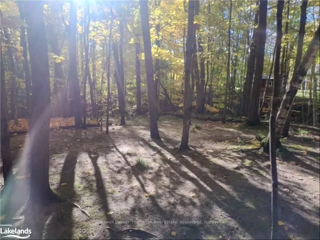 17 MOUNT VERNON Tr, Huntsville, ON P1H 1E3