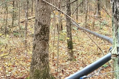 0 HAINES LAKE Road, McDougall, ON P2A 0B3