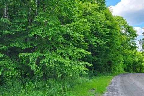 0 HAINES LAKE Road, McDougall, ON P2A 0B3