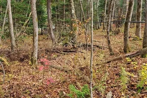 0 HAINES LAKE Road, McDougall, ON P2A 0B3