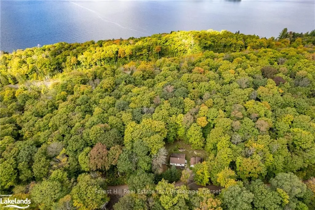 1041 LONGLINE LAKE Rd, Lake of Bays, ON P0B 1A0