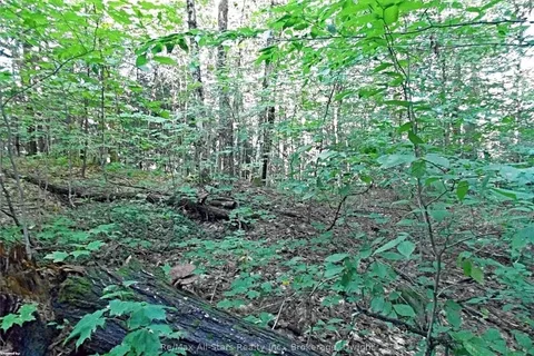 0 ANGLE LAKE Road, Lake of Bays, ON P0A 1H0