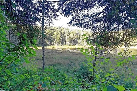 0 ANGLE LAKE Road, Lake of Bays, ON P0A 1H0