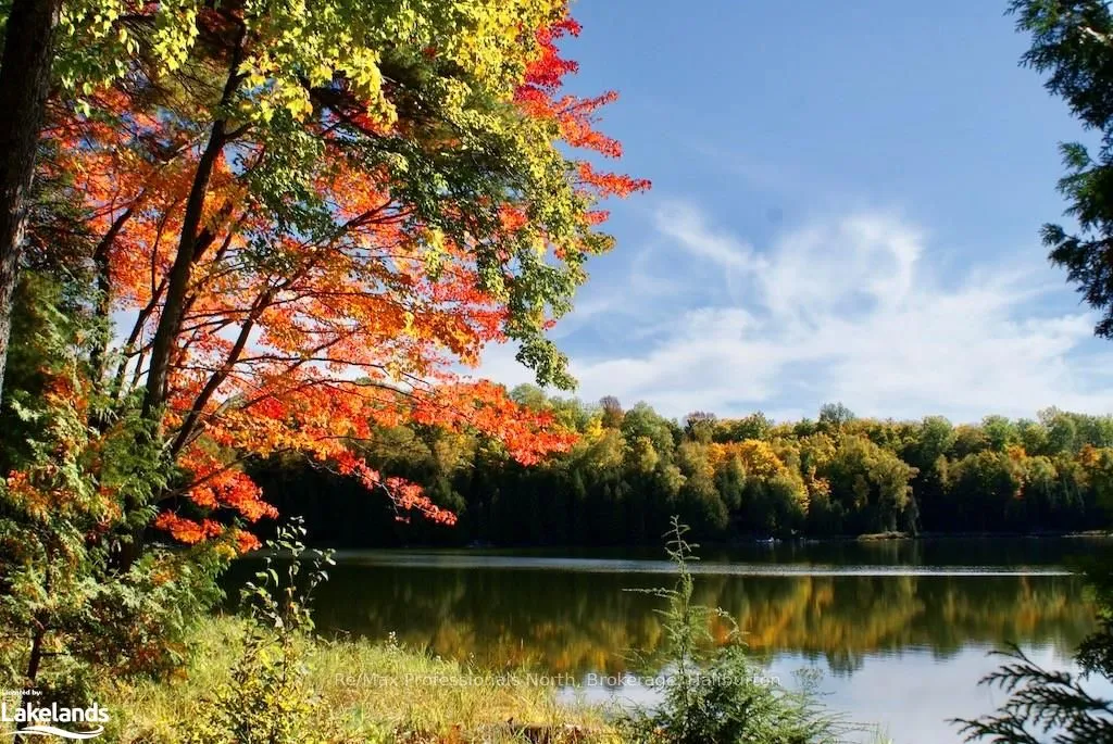 0 HIGHWAY 35 N/A, ON K0M 2K0