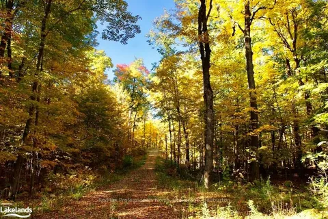 0 HIGHWAY 35 N/A, ON K0M 2K0