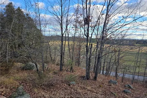 19 TURTLE Lane, McKellar, ON P0G 1C0