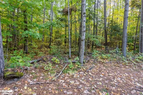 475 EAST FOX LAKE Rd, Huntsville, ON P1H 2J2