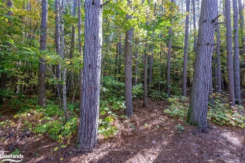 475 EAST FOX LAKE Rd, Huntsville, ON P1H 2J2