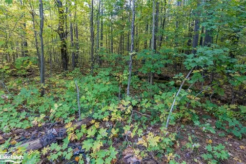 475 EAST FOX LAKE Rd, Huntsville, ON P1H 2J2