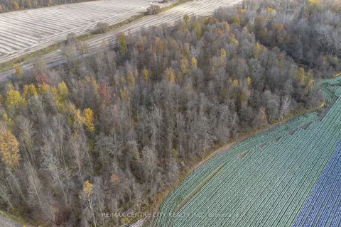 243275 Airport Rd, Tillsonburg, ON N4G 4H1