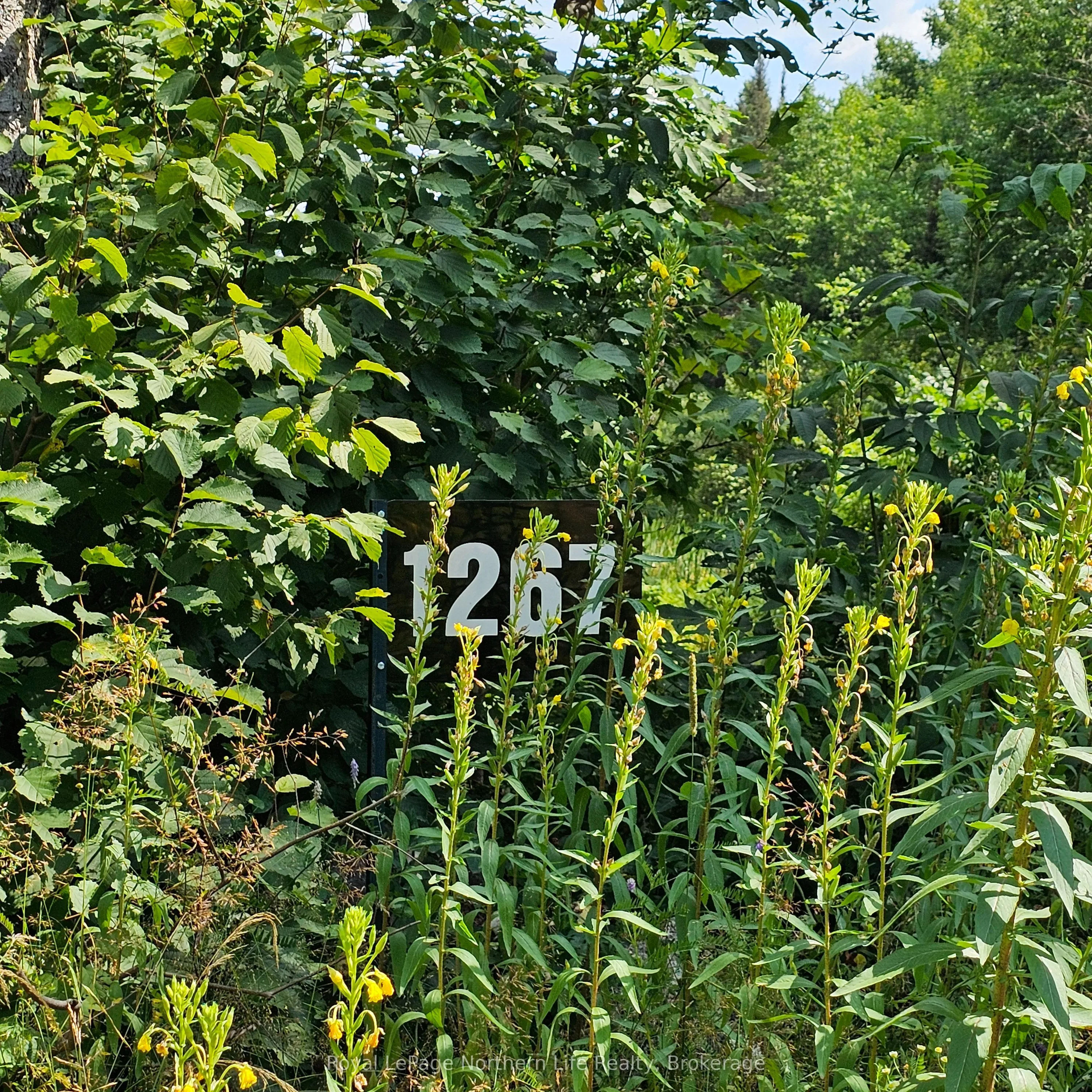 1267 SNAKE CREEK Road, ON P0H 1V0