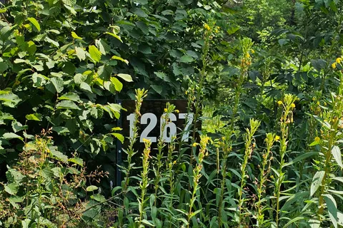 1267 SNAKE CREEK Road, ON P0H 1V0