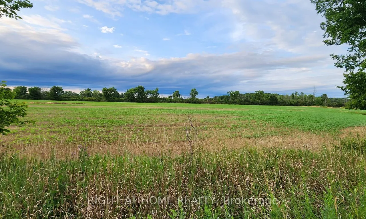 2606 (PT 1) - Burger Rd, Fort Erie, ON L0S 1S0