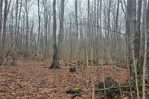 PT LT 1 CONCESSION RD 21, Georgian Bluffs, ON N0H 2T0