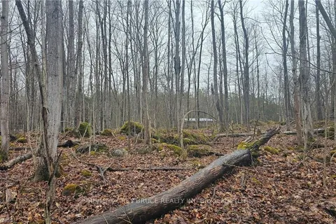 PT LT 1 CONCESSION RD 21, Georgian Bluffs, ON N0H 2T0