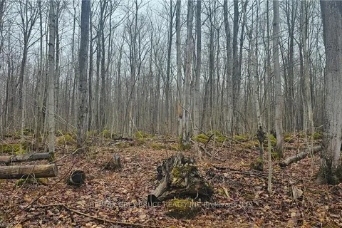 PT LT 1 CONCESSION RD 21, Georgian Bluffs, ON N0H 2T0