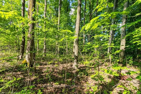 PART 6 KINBURN St, Grey Highlands, ON N0C 1E0