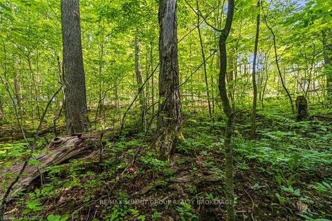 PART 6 KINBURN St, Grey Highlands, ON N0C 1E0