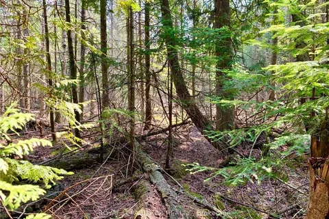 30 PIKE St, Northern Bruce Peninsula, ON N0H 1W0