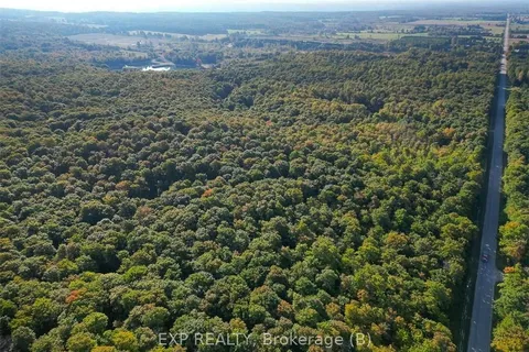 PT LT 8 4TH Line, Blue Mountains, ON N0H 2E0