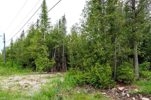 132 BRADLEY Dr, Northern Bruce Peninsula, ON N0H 1Z0