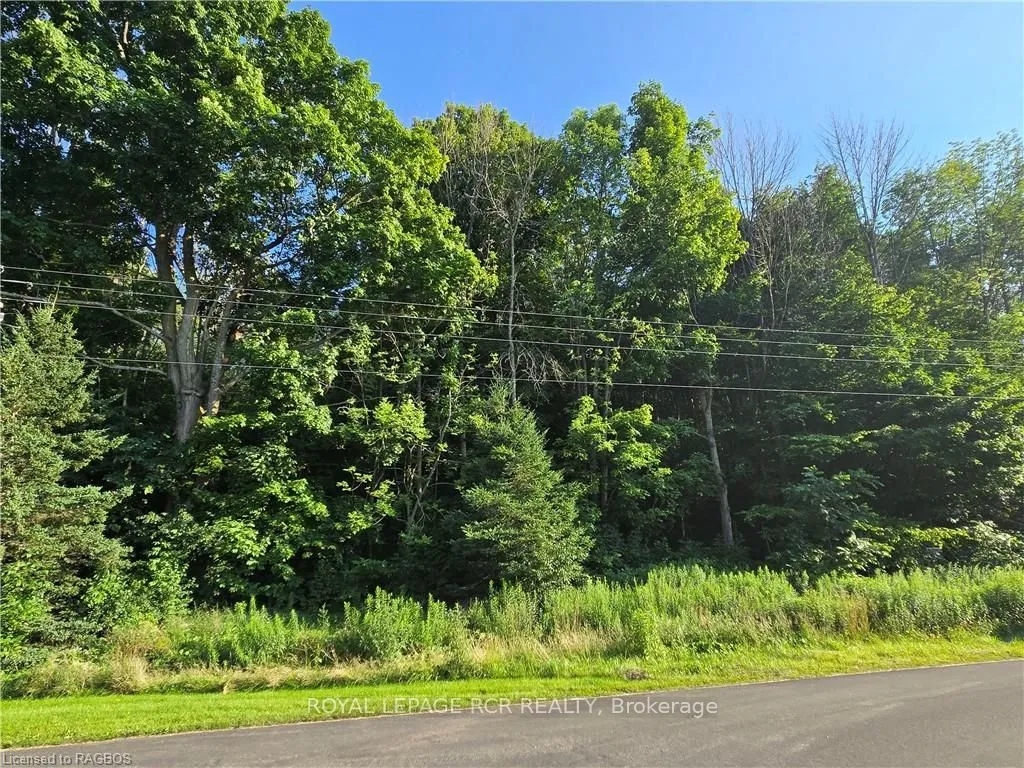 126 OLD HIGHWAY 26 N/A, Meaford, ON N4L 1W7