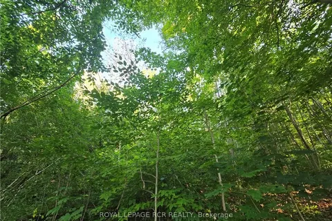 126 OLD HIGHWAY 26 N/A, Meaford, ON N4L 1W7
