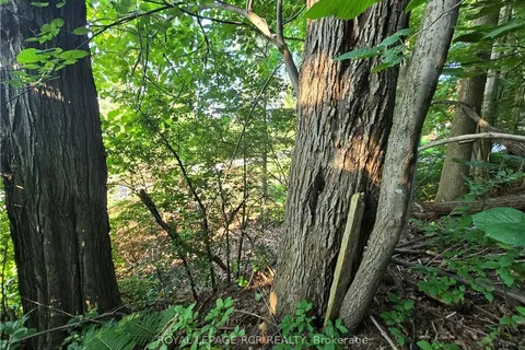 126 OLD HIGHWAY 26 N/A, Meaford, ON N4L 1W7