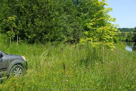 PT LT 5 BRANT-ELDERSLIE, Arran-Elderslie, ON N0G 1L0