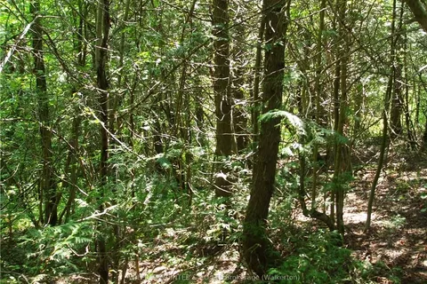 PT LT 5 BRANT-ELDERSLIE, Arran-Elderslie, ON N0G 1L0